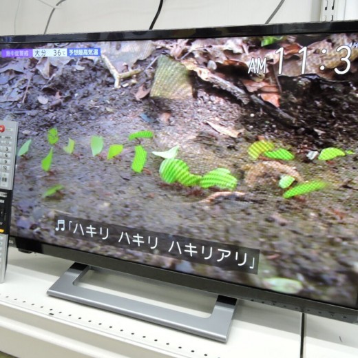 TOSHIBA(東芝)     液晶テレビ