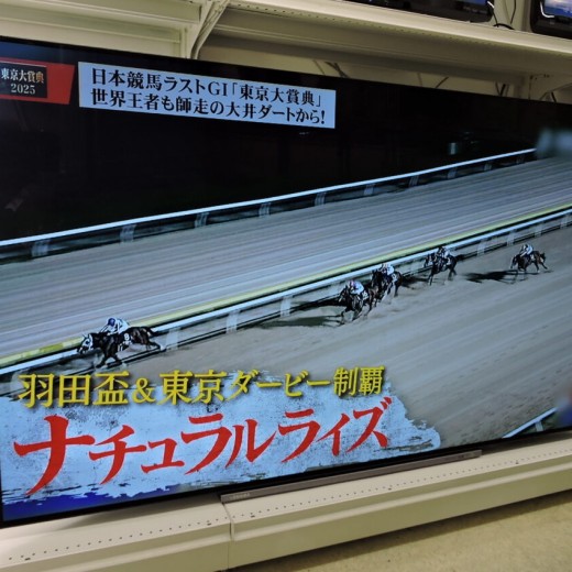 TOSHIBA(東芝)   4K内蔵 有機ELテレビ 55インチ